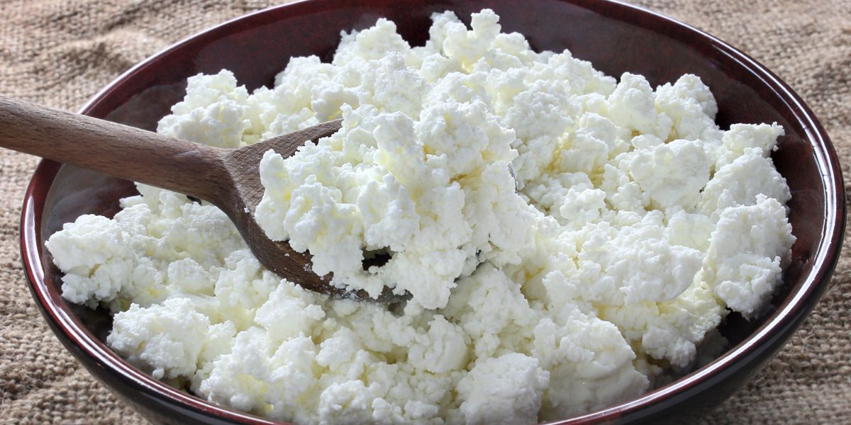 Cottage Cheese for Weight Loss